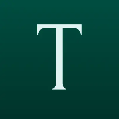 Термекс, торговый дом, лого-визитка