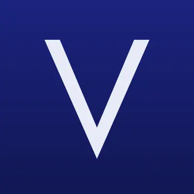 VBI System, компания, лого-визитка